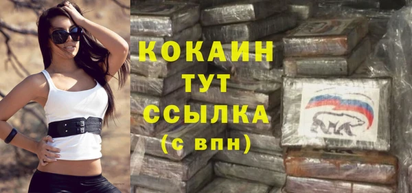 твердый Бородино
